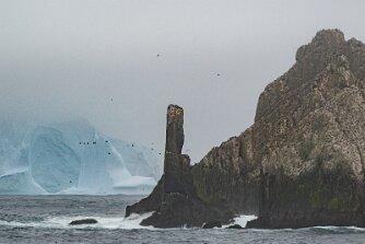 Shag Rocks bei Südgeorgien null